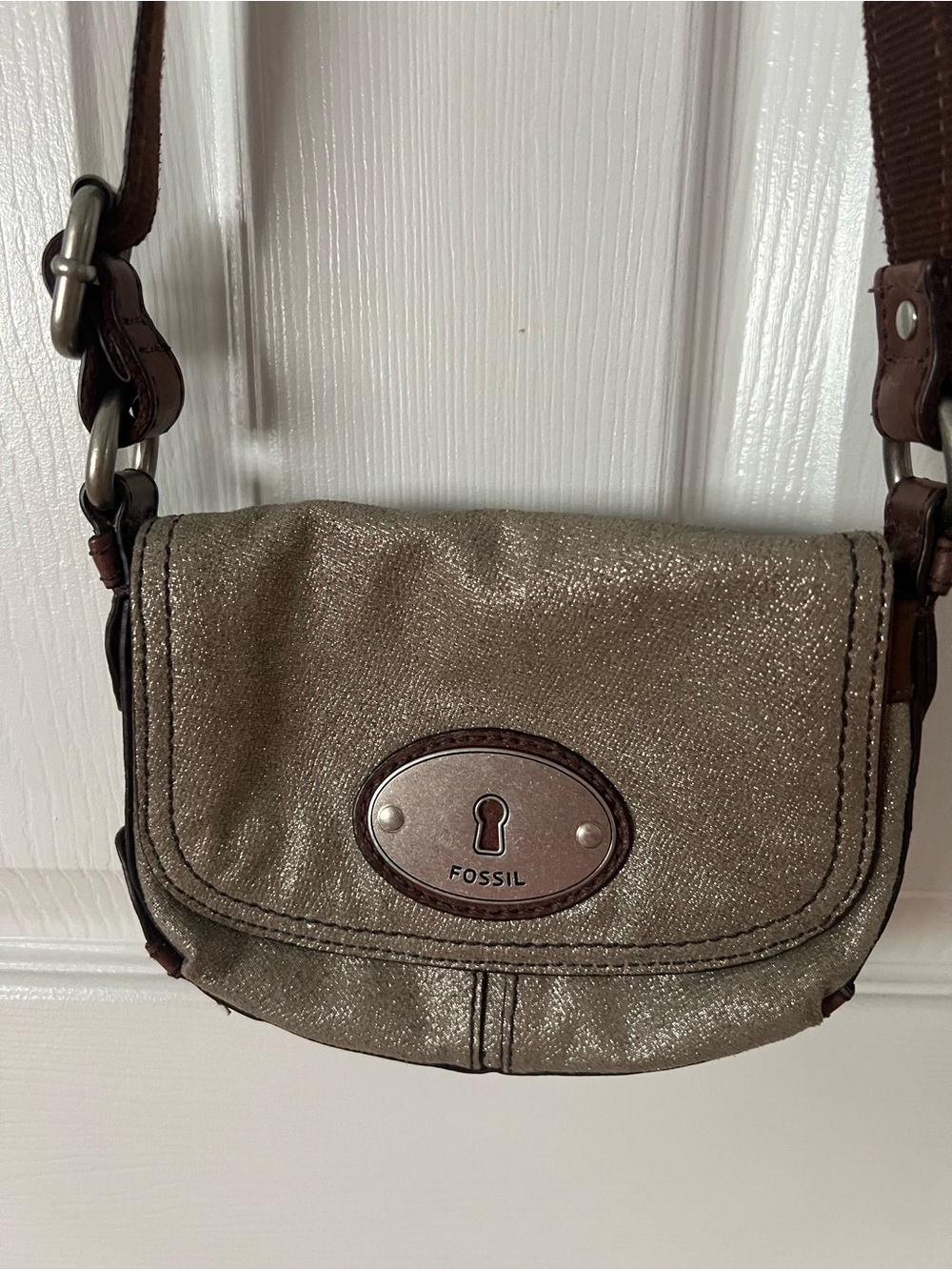 Fossil Metallic Silver Shimmer Leather Crossbody Bag